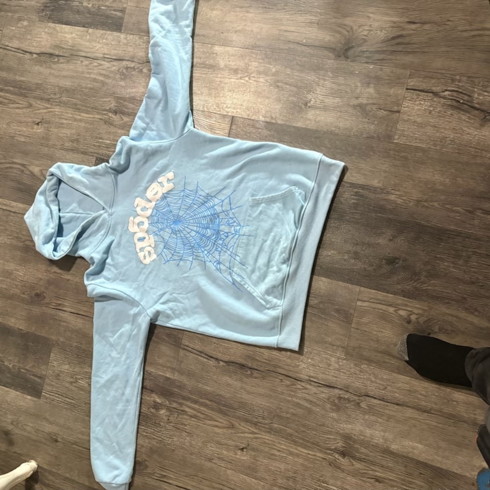 Men's Light Blue Spider Graphic Hoodie